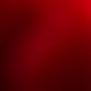 Meet your Posher, Shantel